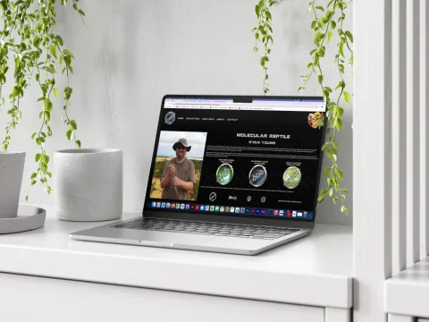 MolecularReptile_Website_Resdesign