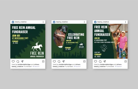 Mockup of 3 instagram posts of designs for Free Reins Fundraiser