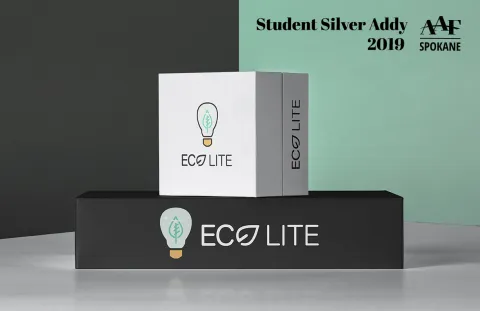 Eco-Lite - Logo design on a package